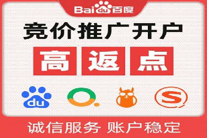 SEM推广实战：成功案例解读与策略调整